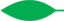 Leaf morphology Acute.png