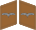 Luftwaffe collar tabs Flieger 3D.svg