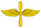 RAF AF branch insignia.svg