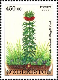Stamps of Uzbekistan, 2010-01.jpg