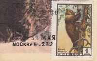 The Soviet Union 1960 CPA 2535 stamp (Brown bear). Cut from a maximum card with Jacobs 1271 postmark.jpg