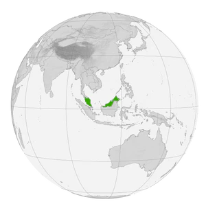 Малайзия на карте мира