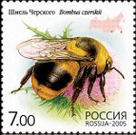 2005. Марка России stamp hi12612325334b2ce19566959.jpg