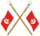 Ae uaq-escudo.png