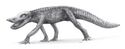 Anatosuchus.jpg