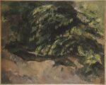 Cézanne - FWN 210.jpg