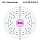 Electron shell 062 Samarium.svg
