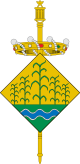 Герб муниципалитета Риудеканес