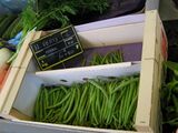 HaricotsVerts2.JPG