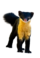 Martes gwatkinsii (white background).png
