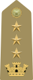 Rank insignia of colonnello of the Army of Italy (1973).svg
