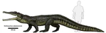 Smilosuchus adamanensis.jpg