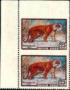 The Soviet Union 1959 CPA 2326 stamp (Siberian tiger) (Imperforate pair-top&bottom, top).jpg
