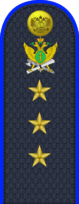 08.погон ФССП - старший прапорщик.png
