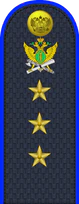 08.погон ФССП - старший прапорщик.png