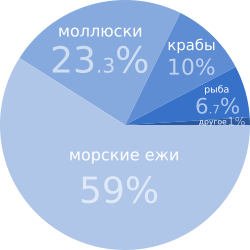Common Sea Otter food distribution.svg