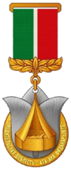 Medal Parental Valor (male).png