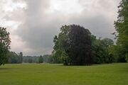 Park Muzakowski4.jpg