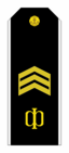RAF N R6PO1stC 1994-2010par.png
