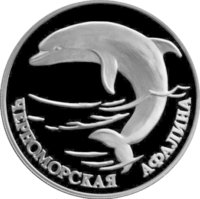 RR5109-0009R Черноморская афалина.png