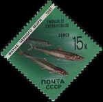 Stamp Soviet Union 1991 CPA 6282black.jpg