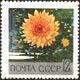 The Soviet Union 1969 CPA 3754 stamp (Dahlia Leaves Fall).jpg