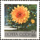 The Soviet Union 1969 CPA 3754 stamp (Dahlia Leaves Fall).jpg