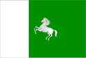 Tomsk city flag.png