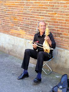 Toulouse musician.jpg