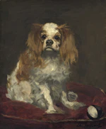 Édouard Manet - A King Charles Spaniel.jpg