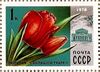 Почтовая марка СССР № 4826. 1978. Цветы Москвы.jpg
