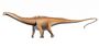 Diplodocus carnegii.jpg