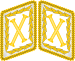 Luftwaffe collar tabs Reichsmarschall 3D.svg