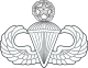 Master Parachutist badge (United States).svg