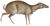 Tragulus napu - 1818-1842 - Print - Iconographia Zoologica - Special Collections University of Amsterdam - (white background).jpg