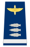 Capona capitan fuerza aerea.svg