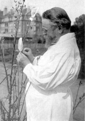Carl Correns.jpg