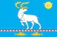 Flag of Anadyrsky rayon (Chukotka).png