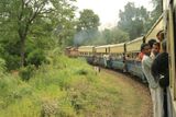Kangra valley rail.jpg