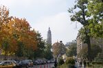 Kopernika street (west side),Krakow,Poland.jpg
