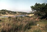 Macta dunes 1977.jpg