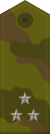 Russia-Army-OF-1c-camo.svg