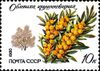 Почтовая марка СССР № 5123. 1980. Охраняемые породы деревьев и кустарников.jpg