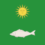 Флаг