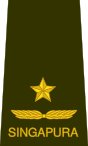 08-RSA-OF06.svg