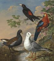 A Moorhen A Gull A Scarlet Macaw and Red-Rumped A Cacique By A Stream in a Landscape by Philip Reinagle.jpg