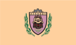 Флаг