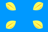 Флаг[d]