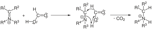 LeuckartWallach2-2.svg