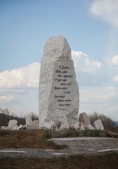 Ирагуу шүлэгүүдэй шулуун сэсэрлиг соохи шулуун стелэнүүдэй нэгэн